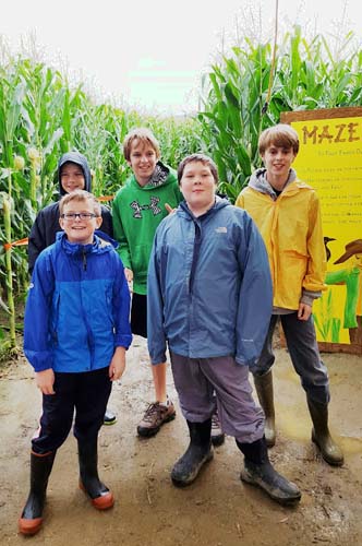 Corn Maze