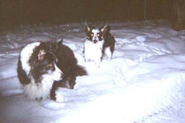 Road Trip 03 Cuzco and Whitby