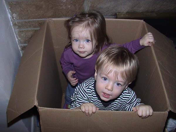 Box Maddy and Brock