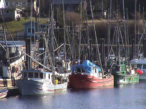 Ucluelet Boats