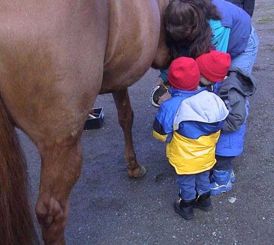 Cleaning Jessica's Horseshoe