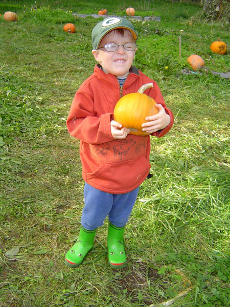 Pumpkin Patch 03