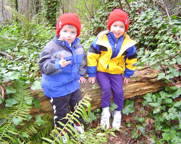Golden Gardens Twins