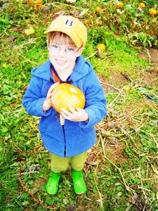 Pumpkin Patch Brock