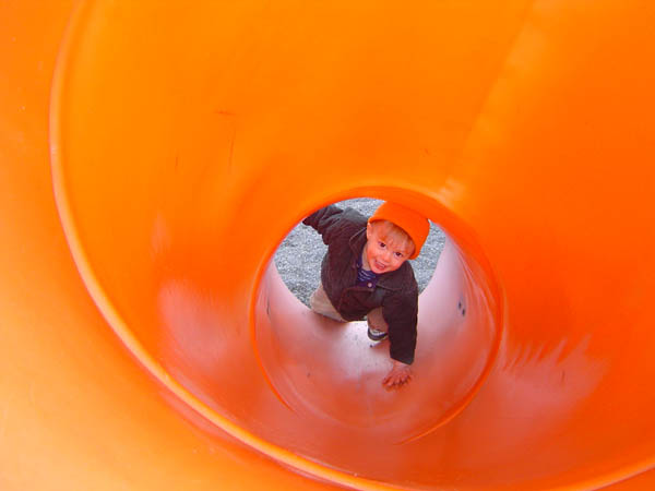 Maple Leaf Park Dane