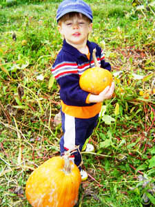 Pumpkin Patch Dane