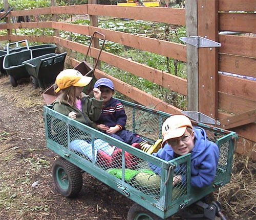 Pumpkin Patch G-Pod 02