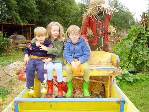 Pumpkin Patch G-Pod 03