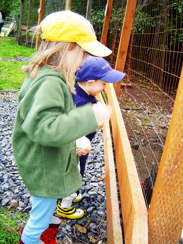 Pumpkin Patch Maddy Dane