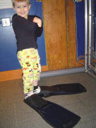 Aquarium Dane Flippers