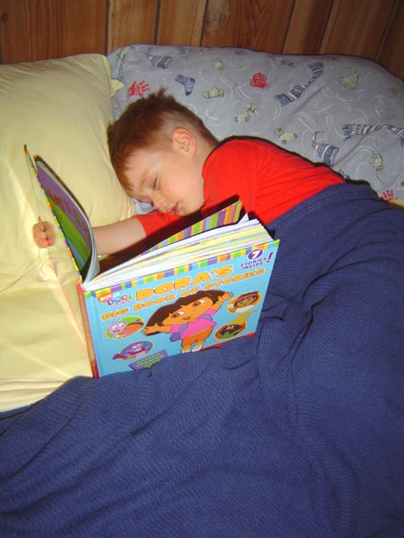 Dane Bedtime Book