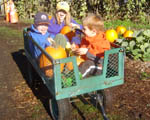 Pumpkin Patch