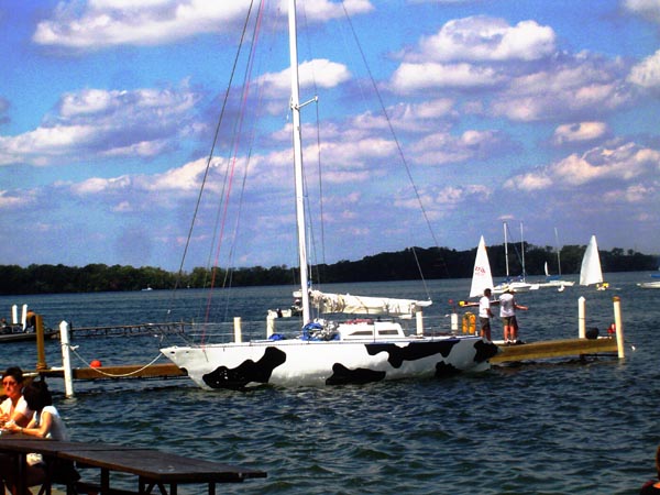 Cow Boat on Lake Mendota