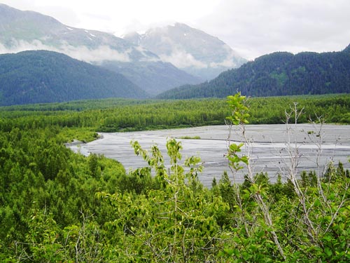 Exit Glacier