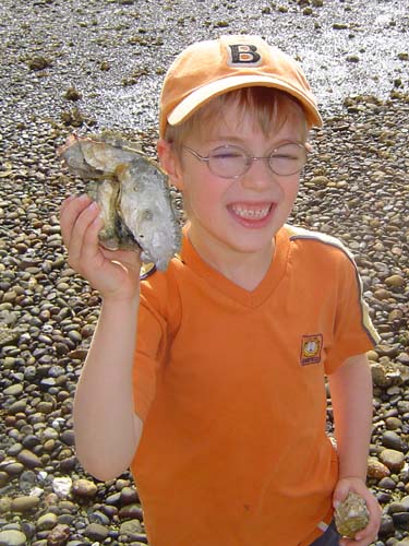 Hood Canal Oysters Brock