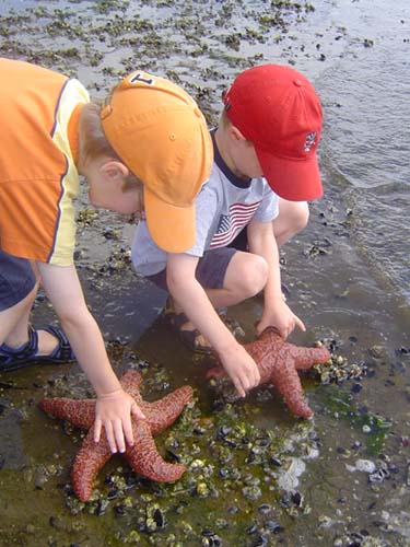 Hood Canal Brock Dane