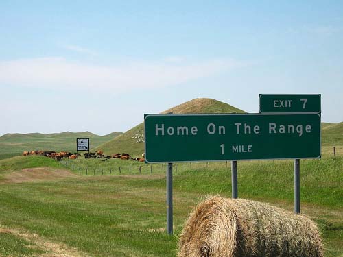 Road Trip Home on the Range