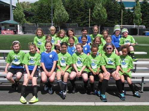 Blue Foxes and Kixie Chix