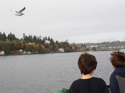 Bainbridge Island Ferry