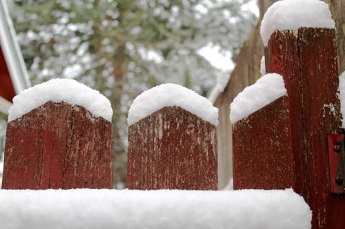 Snow Fence