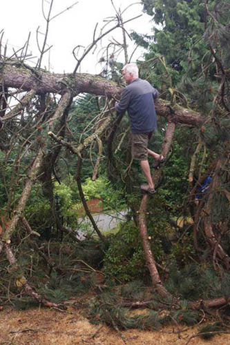 Papa on felled tree