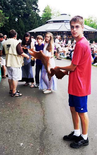 African Rock Python skin