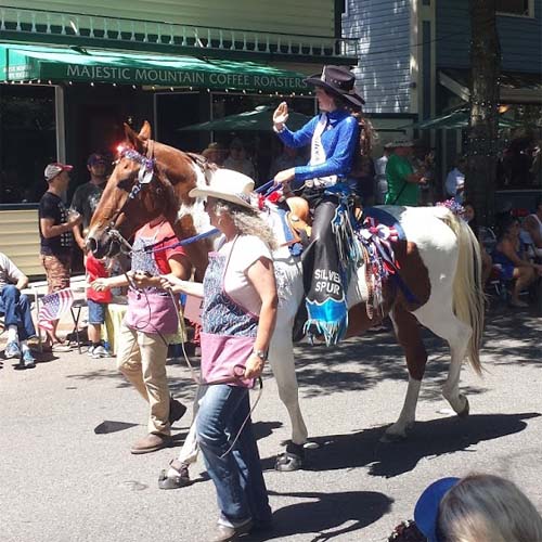 Kingston Parade Horse