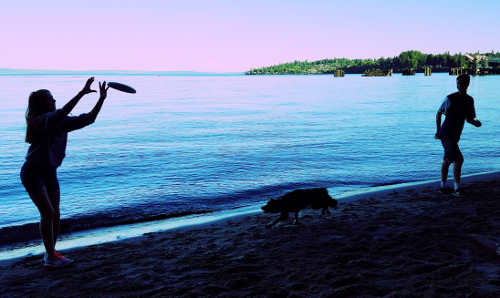 Brock, Maddy, Smudge on Kingston beach