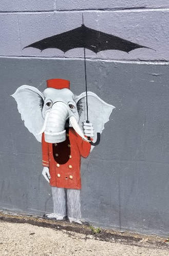 Ballard Elephant