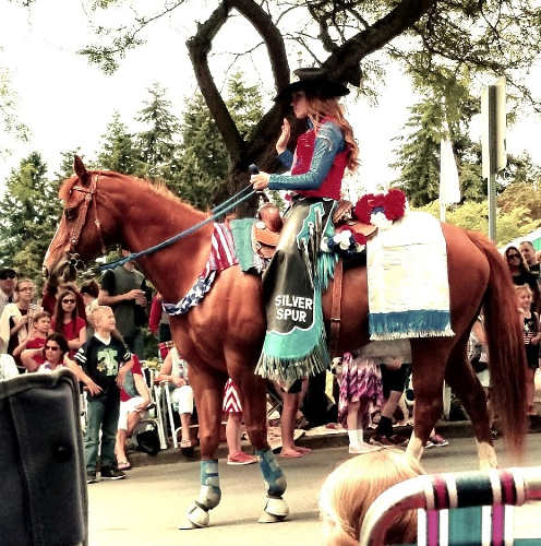 Kingston Parade Cowgirl and Horse
