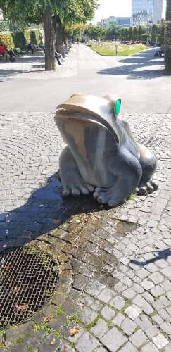 Suisse Lausanne 18.09.2018 Frog 06