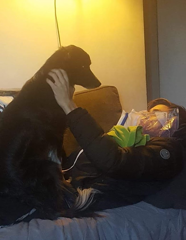 Wisdom Teeth Smudge and Dane