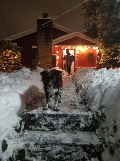 Smudge and Maddy returning to Seattle Snow