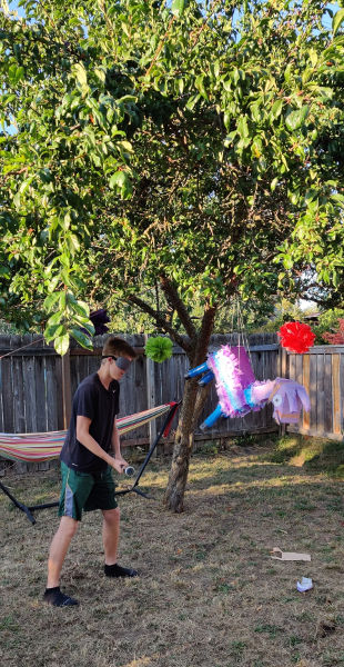 Dane Birthday Party 06 Dane Swinging
