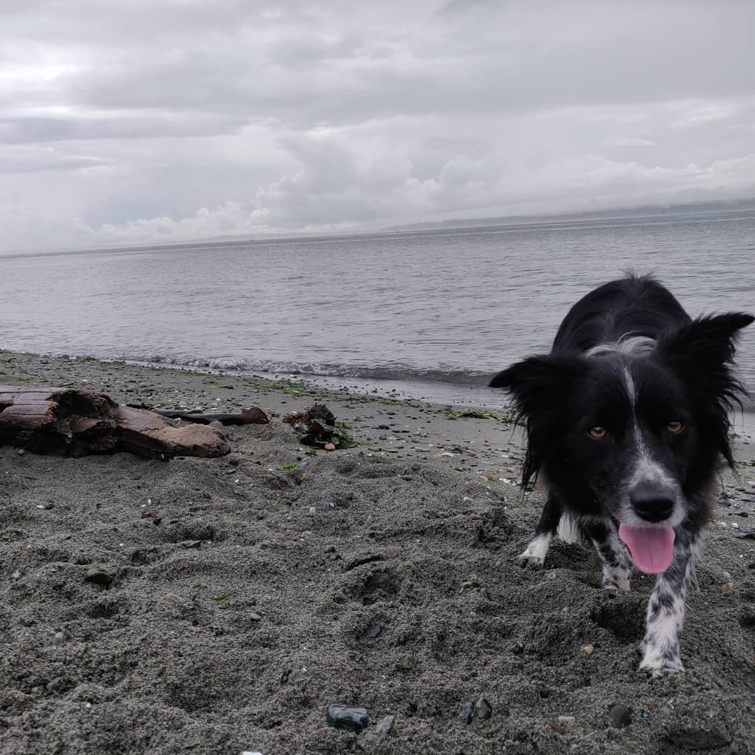 Puget Sound Smudge 01