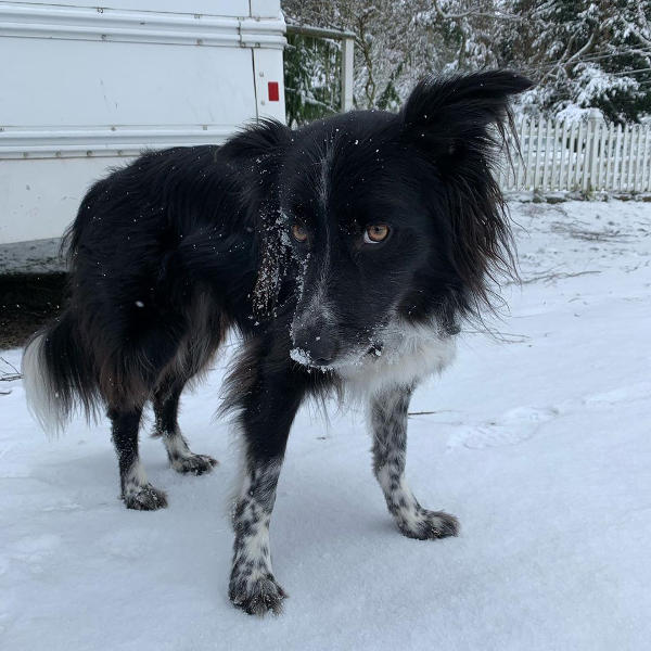 Smudge 14-JAN-2020 01