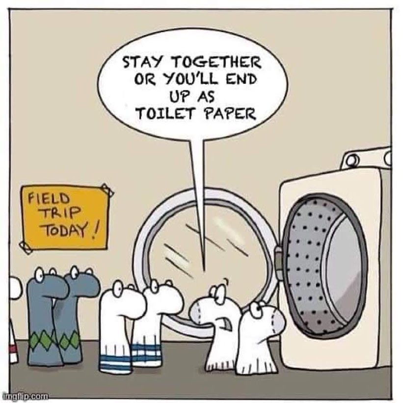 TP Socks