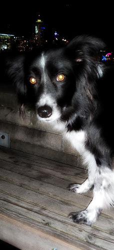 Kerry Park Night Smudge