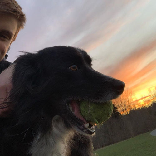 Magnuson Park Sunset Dane and Smudge