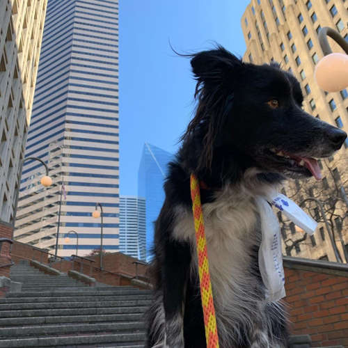 Smudge Downtown