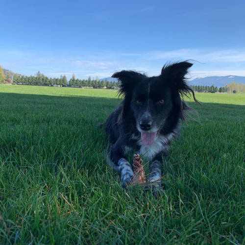 Skagit River Park Smudge 02