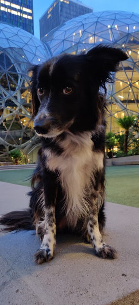 Amazon Spheres Smudge 01