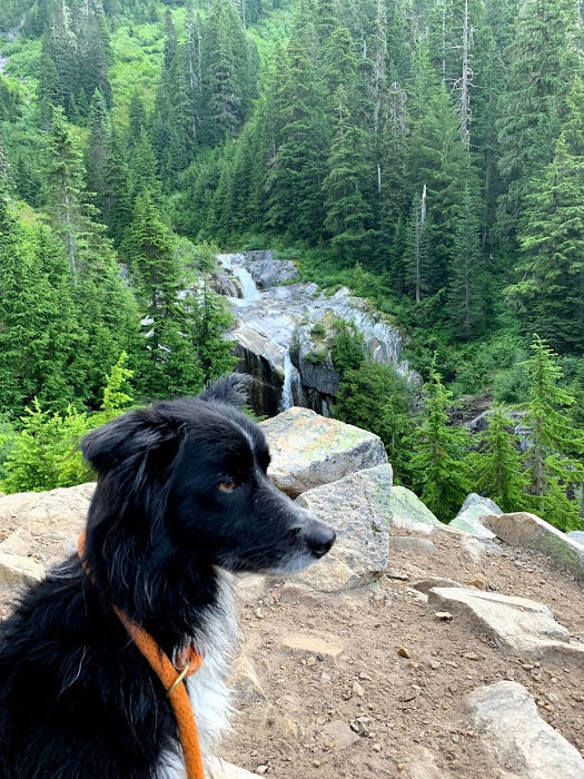 Keekwulee Falls Smudge 01