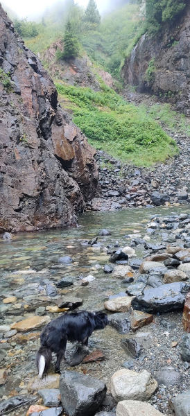 Franklin Falls Smudge