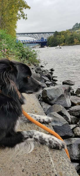 Fremont Canal Smudge 01