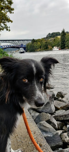 Fremont Canal Smudge 02