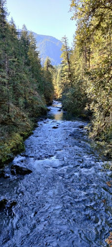 Hamma Hamma River 01