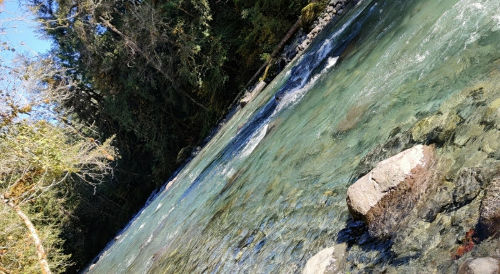 Hamma Hamma River 02