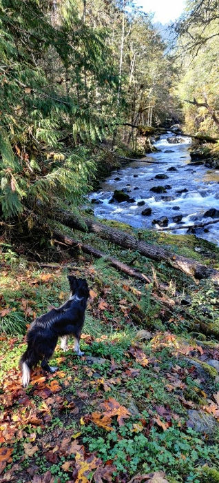 Hamma Hamma River Smudge 01