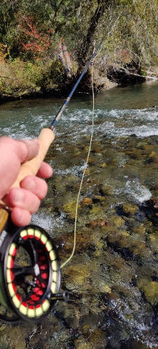 Hamma Hamma River Papa 04